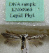  ( - KN00965)  @11 [ ] CreativeCommons - Attribution Non-Commercial (2017) Kari Nupponen Faunatica Oy