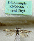  (Scythris fonticola - KN00966)  @11 [ ] CreativeCommons - Attribution Non-Commercial (2017) Kari Nupponen Faunatica Oy