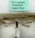  (Scythris unciclavella - KN01006)  @11 [ ] CreativeCommons - Attribution Non-Commercial (2017) Kari Nupponen Faunatica Oy