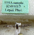  (Scythris worcesterensis - KN01017)  @11 [ ] CreativeCommons - Attribution Non-Commercial (2017) Kari Nupponen Faunatica Oy
