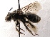  ( - KJH.5292)  @12 [ ] Unspecified (default): All Rights Reserved  Unspecified Unspecified