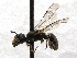  ( - KJH.4284)  @13 [ ] Unspecified (default): All Rights Reserved  Unspecified Unspecified