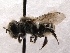  (Atoposmia SanDiego Sp.1 - KJH.1234)  @13 [ ] Unspecified (default): All Rights Reserved  Unspecified Unspecified