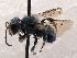  ( - KJH.1515)  @11 [ ] Unspecified (default): All Rights Reserved  Unspecified Unspecified
