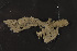  ( - P006-161123-2)  @11 [ ] CreativeCommons - Attribution Share-Alike (2020) Unspecified Uppsala University, Department of Systematic Biology