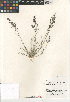  ( - CCDB-23952-E07)  @11 [ ] CreativeCommons - Attribution Non-Commercial Share-Alike (2015) SDNHM San Diego Natural History Museum
