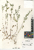  ( - CCDB-24907-B08)  @11 [ ] CreativeCommons - Attribution Non-Commercial Share-Alike (2015) SDNHM San Diego Natural History Museum
