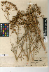  ( - CCDB-24907-H04)  @11 [ ] CreativeCommons - Attribution (2014) Linda Jennings University of British Columbia