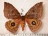  ( - BC-Her0127)  @13 [ ] Copyright (2010) Unspecified Research Collection of Daniel Herbin