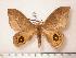  ( - BC-Her0146)  @13 [ ] Copyright (2010) Unspecified Research Collection of Daniel Herbin