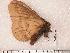  ( - BC-Her0153)  @12 [ ] Copyright (2010) Unspecified Research Collection of Daniel Herbin