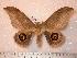  ( - BC-Her0227)  @14 [ ] Copyright (2010) Unspecified Research Collection of Daniel Herbin