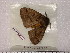  ( - BC-Her0354)  @12 [ ] Copyright (2010) Unspecified Research Collection of Daniel Herbin