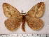  ( - BC-Her0370)  @13 [ ] Copyright (2010) Unspecified Research Collection of Daniel Herbin