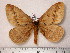  ( - BC-Her0372)  @13 [ ] Copyright (2010) Unspecified Research Collection of Daniel Herbin