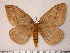  ( - BC-Her0376)  @14 [ ] Copyright (2010) Unspecified Research Collection of Daniel Herbin