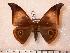  ( - BC-Her0416)  @14 [ ] Copyright (2010) Unspecified Research Collection of Daniel Herbin