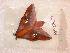 ( - BC-Her0479)  @13 [ ] Copyright (2010) Unspecified Research Collection of Daniel Herbin