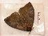 ( - BC-Her0499)  @12 [ ] Copyright (2010) Unspecified Research Collection of Daniel Herbin