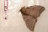  ( - BC-Her0556)  @13 [ ] Copyright (2010) Unspecified Research Collection of Daniel Herbin