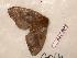  ( - BC-Her0557)  @12 [ ] Copyright (2010) Unspecified Research Collection of Daniel Herbin