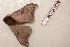  ( - BC-Her0559)  @12 [ ] Copyright (2010) Unspecified Research Collection of Daniel Herbin