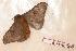  ( - BC-Her0560)  @13 [ ] Copyright (2010) Unspecified Research Collection of Daniel Herbin