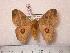  ( - BC-Her0595)  @13 [ ] Copyright (2010) Unspecified Research Collection of Daniel Herbin