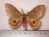  ( - BC-Her0080)  @14 [ ] Copyright (2010) Unspecified Research Collection of Daniel Herbin