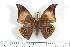  ( - BC-Her0942)  @14 [ ] Copyright (2010) Unspecified Research Collection of Daniel Herbin