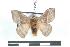  ( - BC-Her0957)  @14 [ ] Copyright (2010) Unspecified Research Collection of Daniel Herbin