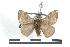  ( - BC-Her0969)  @14 [ ] Copyright (2010) Unspecified Research Collection of Daniel Herbin