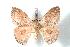  ( - BC-Her1241)  @14 [ ] Copyright (2010) Unspecified Research Collection of Daniel Herbin