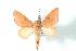  ( - BC-Her1265)  @15 [ ] Copyright (2010) Unspecified Research Collection of Daniel Herbin