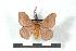  ( - BC-Her1345)  @13 [ ] Copyright (2010) Unspecified Research Collection of Daniel Herbin