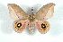  ( - BC-Her1507)  @15 [ ] Copyright (2010) Unspecified Research Collection of Daniel Herbin