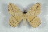  ( - BC-Her1543)  @13 [ ] Copyright (2010) Unspecified Research Collection of Daniel Herbin