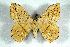  ( - BC-Her1547)  @13 [ ] Copyright (2010) Unspecified Research Collection of Daniel Herbin