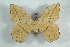  ( - BC-Her1549)  @13 [ ] Copyright (2010) Unspecified Research Collection of Daniel Herbin