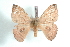  ( - BC-Her1561)  @13 [ ] Copyright (2010) Unspecified Research Collection of Daniel Herbin