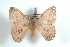  ( - BC-Her1564)  @13 [ ] Copyright (2010) Unspecified Research Collection of Daniel Herbin