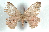  ( - BC-Her1573)  @13 [ ] Copyright (2010) Unspecified Research Collection of Daniel Herbin