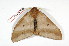  ( - BC-Her2059)  @13 [ ] Copyright (2010) Unspecified Research Collection of Daniel Herbin