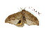  ( - BC-Her2060)  @13 [ ] Copyright (2010) Unspecified Research Collection of Daniel Herbin