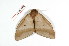  ( - BC-Her2078)  @13 [ ] Copyright (2010) Unspecified Research Collection of Daniel Herbin