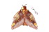 ( - BC-Her2086)  @12 [ ] Copyright (2010) Unspecified Research Collection of Daniel Herbin