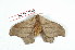  ( - BC-Her2093)  @13 [ ] Copyright (2010) Unspecified Research Collection of Daniel Herbin