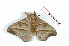  ( - BC-Her2094)  @12 [ ] Copyright (2010) Unspecified Research Collection of Daniel Herbin