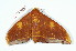 ( - BC-Her2138)  @14 [ ] Copyright (2010) Unspecified Research Collection of Daniel Herbin