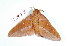  ( - BC-Her2164)  @13 [ ] Copyright (2010) Unspecified Research Collection of Daniel Herbin